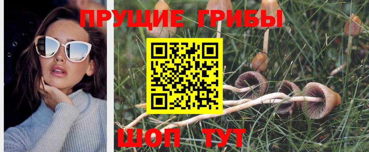 Псилоцибиновые грибы MAGIC MUSHROOMS  Вход с VPN  Назрань 