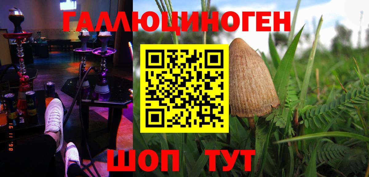 Галлюциногенные грибы GOLDEN TEACHER Назрань